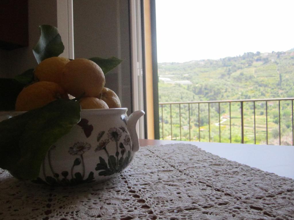 Agriturismo Turlin Vallebona Esterno foto