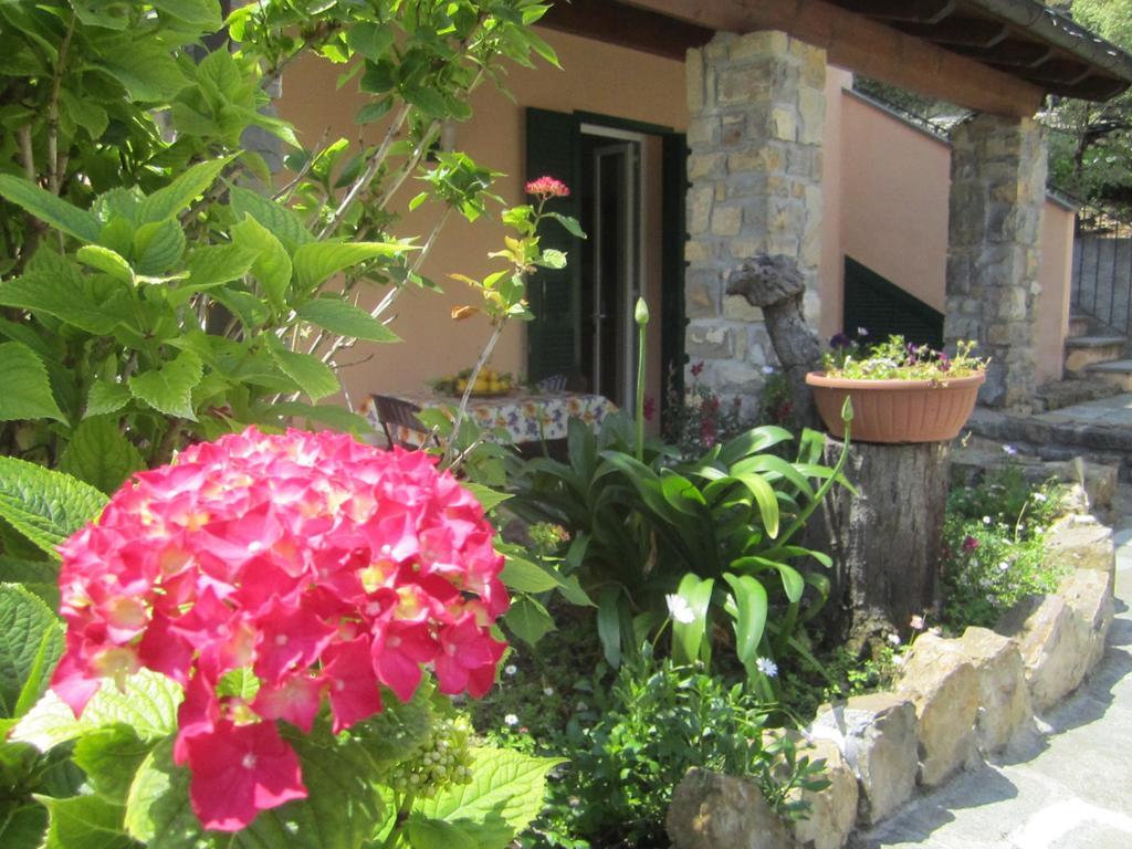 Agriturismo Turlin Vallebona Esterno foto